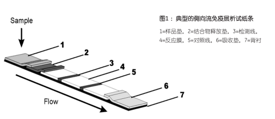 當(dāng)今傳染病流行環(huán)境下免疫層析技術(shù)的發(fā)展動力分析